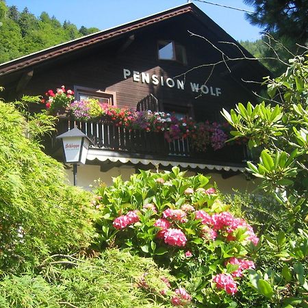 Pension Wolf Steindorf am Ossiacher See Kültér fotó