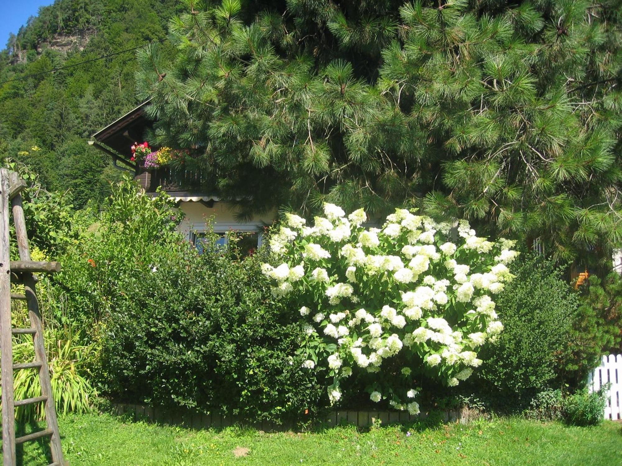 Pension Wolf Steindorf am Ossiacher See Kültér fotó